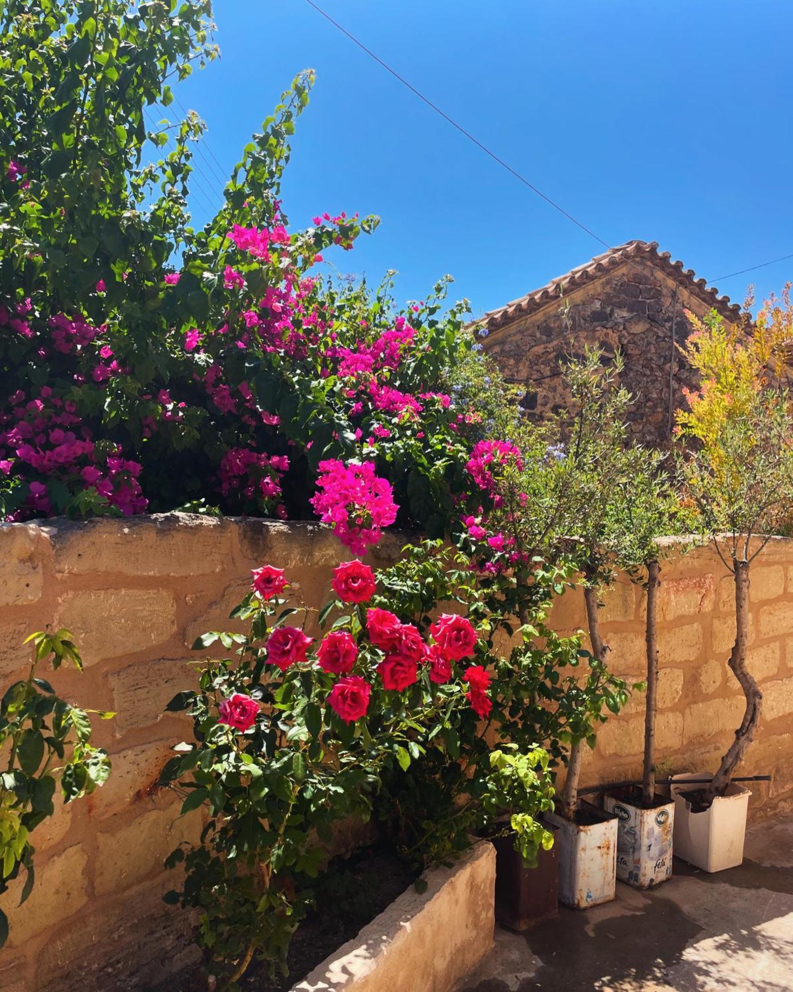Villa Pyrgos Fassea Kardamyli Extérieur photo